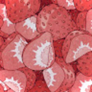 Meet your Posher, Sofi